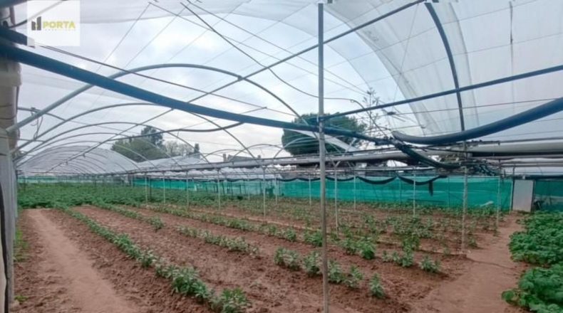 Cádiz - Sanlúcar de Barrameda - 2400m2