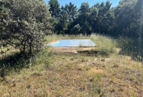 Foto 11