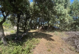 Foto 9