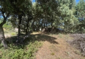 Finca rústica en venta en la España, Loranca de Tajuña, ref: TR413527 foto