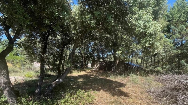Guadalajara - Loranca de Tajuña - 4740m2