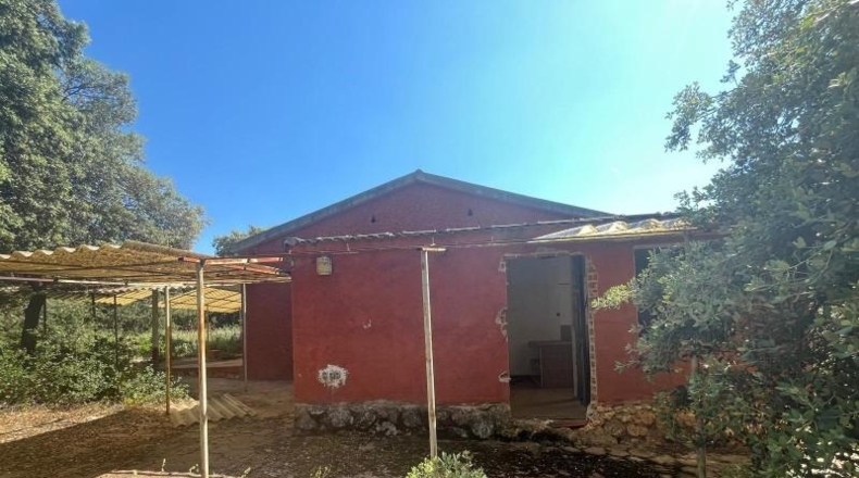 Guadalajara - Loranca de Tajuña - 4740m2