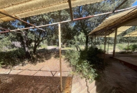 Foto 15