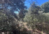 Finca rústica en venta en la España, Loranca de Tajuña, ref: TR413527 foto