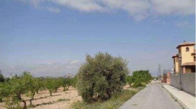 Granada - Gójar - 15000m2