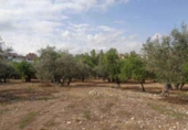 Parcela urbanizable en venta en la España, Gójar, ref: TR413526 foto
