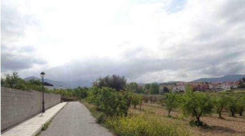 Granada - Gójar - 15000m2