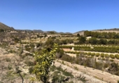 Terreno no urbanizable en venta en la España, L'Atzúbia, ref: TR413533 foto