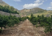 Terreno no urbanizable en venta en la España, L'Atzúbia, ref: TR413533 foto