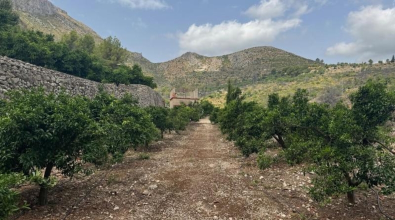 Alicante - l'Atzúbia - 20399m2
