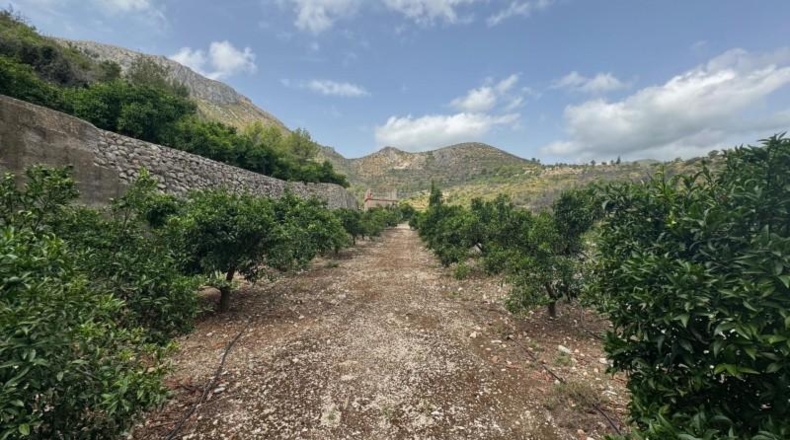 Alicante - l'Atzúbia - 20399m2