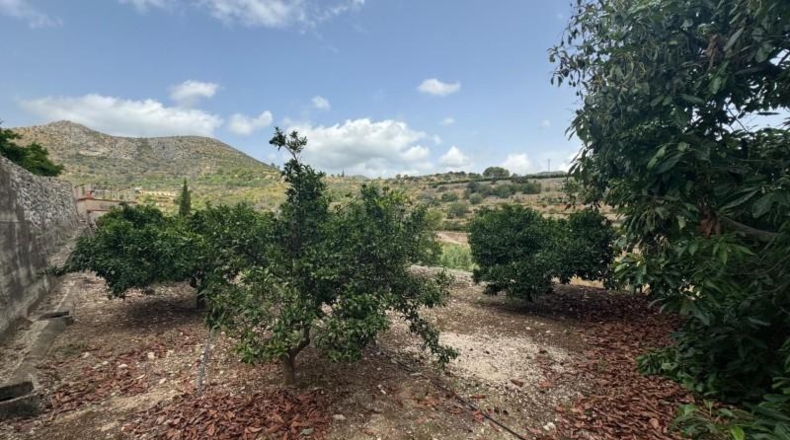 Alicante - l'Atzúbia - 20399m2