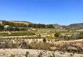 Terreno no urbanizable en venta en la España, L'Atzúbia, ref: TR413533 foto