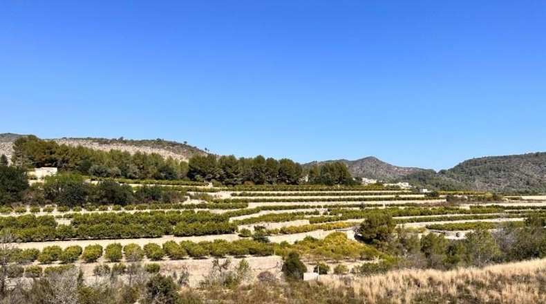 Alicante - l'Atzúbia - 20399m2