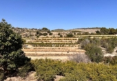 Terreno no urbanizable en venta en la España, L'Atzúbia, ref: TR413533 foto