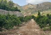 Terreno no urbanizable en venta en la España, L'Atzúbia, ref: TR413533 foto