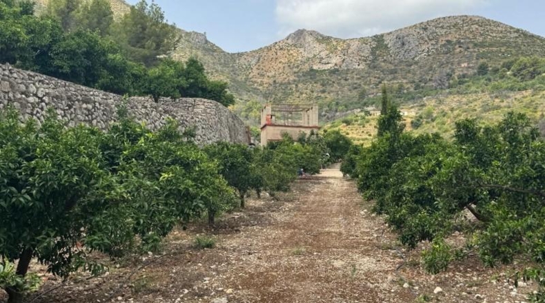 Alicante - l'Atzúbia - 20399m2