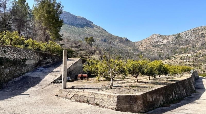 Alicante - l'Atzúbia - 20399m2