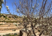Terreno no urbanizable en venta en la España, L'Atzúbia, ref: TR413533 foto