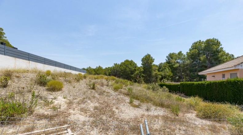 Murcia - Molina de Segura - 890m2