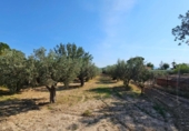 Casa de campo con terreno en venta en la España, San Juan de Alicante, ref: TR413536 foto