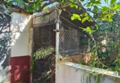 Casa de campo con terreno en venta en la España, San Juan de Alicante, ref: TR413536 foto