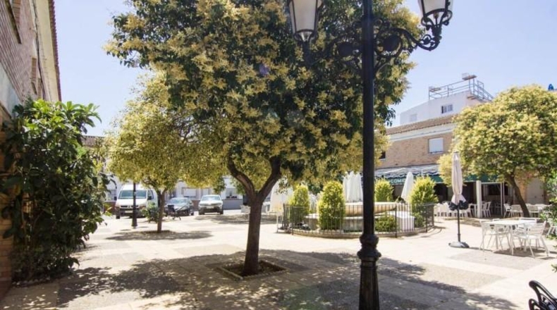 Cádiz - Херес-де-ла-Фронтера - 183m2