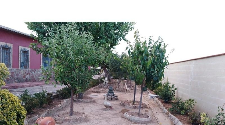 Cuenca - Villamayor de Santiago - 1678m2