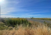 Terreno no urbanizable en venta en la España, Huelva, ref: TR413551 foto