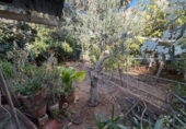 Casa de pueblo en venta en la España, Dos Hermanas, ref: TR413554 foto