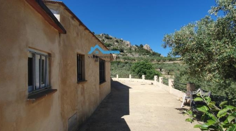 Alicante - Confrides - 12000m2