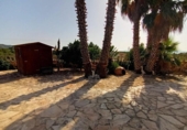 Chalet independiente con terreno en venta en la España, Montferri, ref: TR413567 foto
