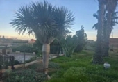 Chalet independiente con terreno en venta en la España, Granadilla de Abona, ref: TR413569 foto