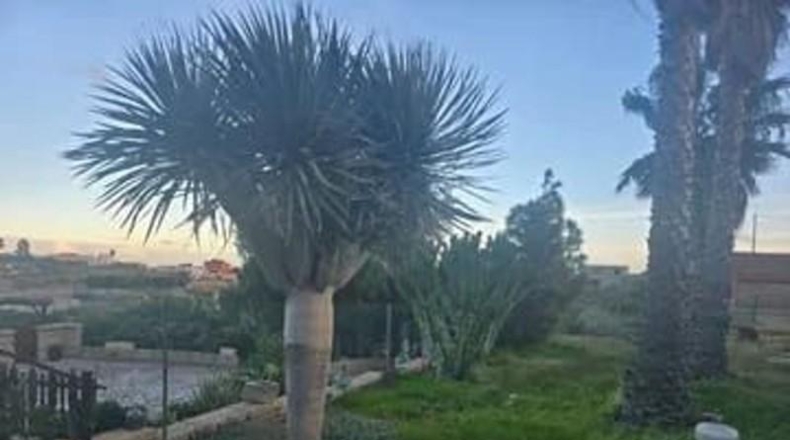 Santa Cruz de Tenerife - Granadilla de Abona - 680m2