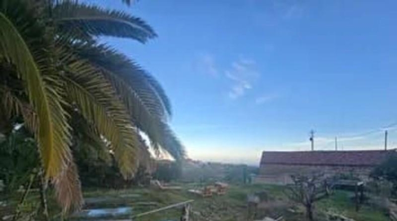 Santa Cruz de Tenerife - Granadilla de Abona - 680m2