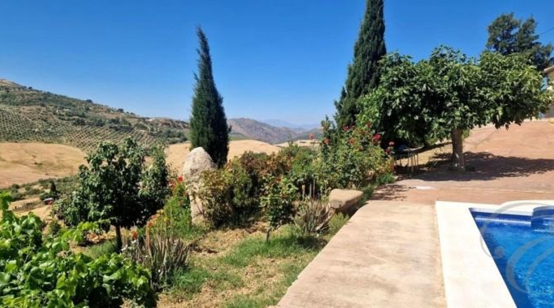 Málaga - Villanueva de la Concepción - 8461m2
