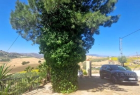 Villanueva de la Concepción 8461&nbsp;m²