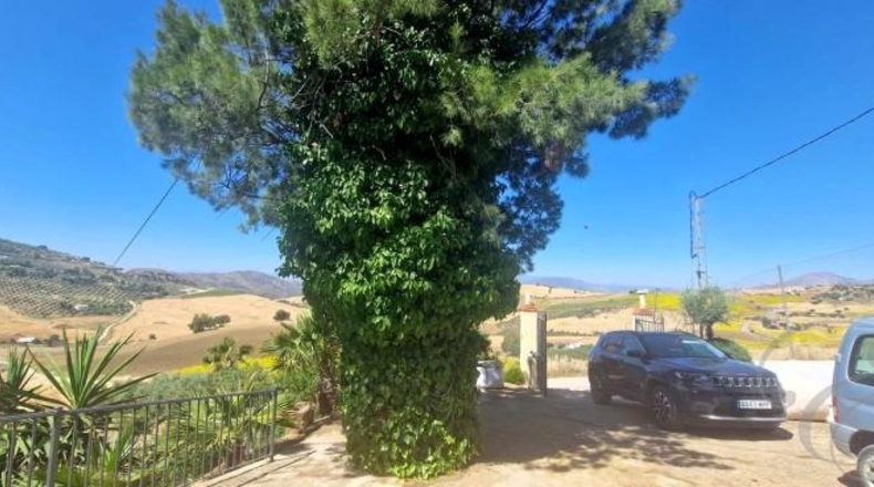 Málaga - Villanueva de la Concepción - 8461m2