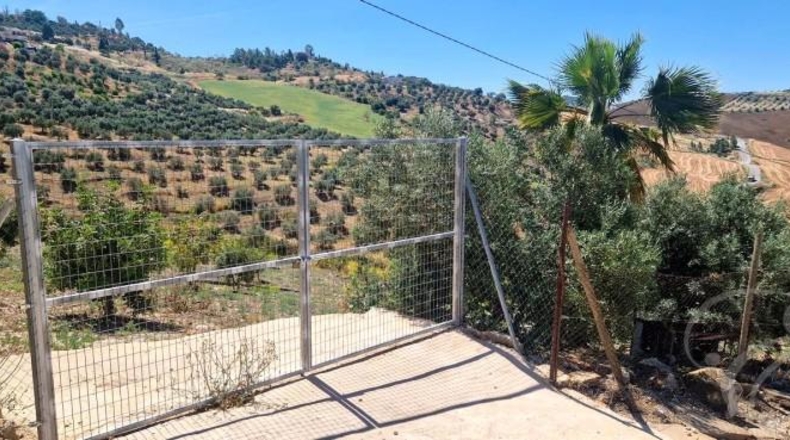 Málaga - Villanueva de la Concepción - 8461m2