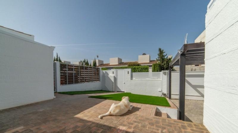Murcia - Múrcia - 270m2