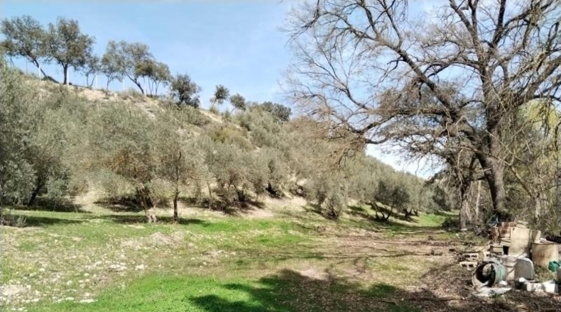 Granada - Atarfe - 14219m2