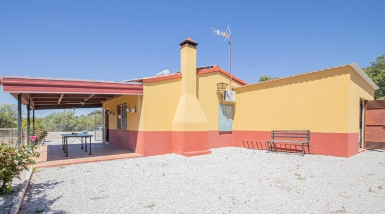 Sevilla - El Pedroso - 19000m2