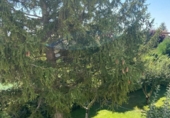 Casa de camp amb terreny en venda a la España, Lleó, ref.: TR413599 foto