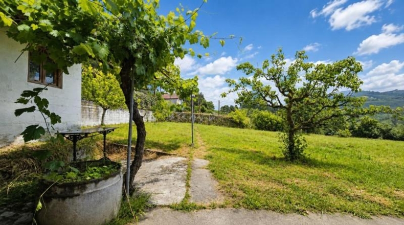 Vizcaya - Marquina-Jeméin - 53751m2