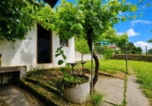 Finca rústica en venta en la España, Marquina-Jeméin, ref: TR413600 foto