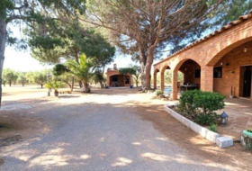 Riudoms 13241&nbsp;m²