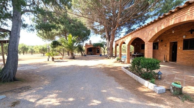 Tarragona - Riudoms - 13241m2
