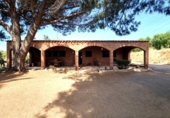 Casa de campo con terreno en venta en la España, Riudoms, ref: TR413606 foto