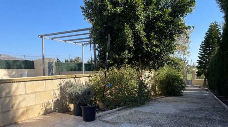 Alicante - Albatera - 12000m2
