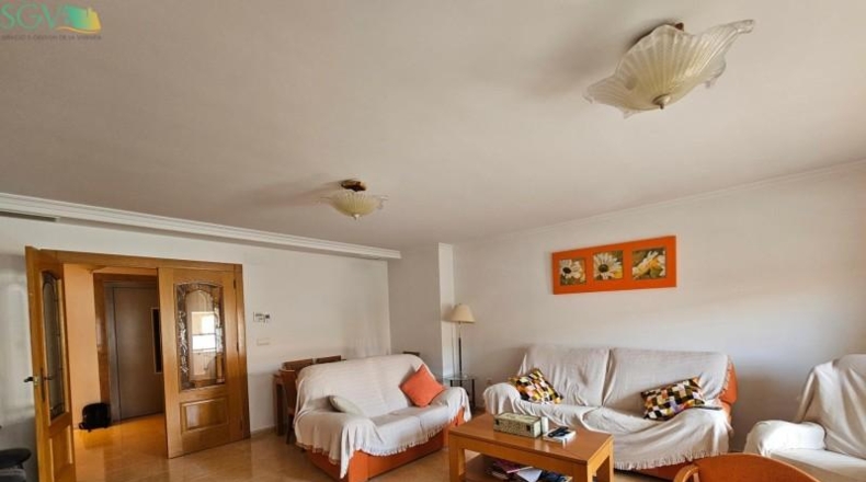 Alicante - Pinoso - 444m2